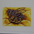 Healing Honey - - Colour reduction print