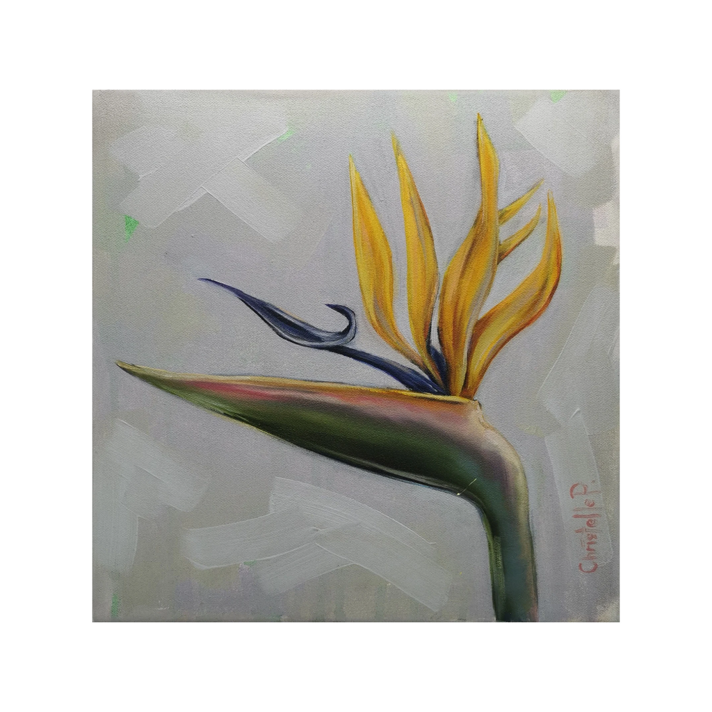 Strelitzia III