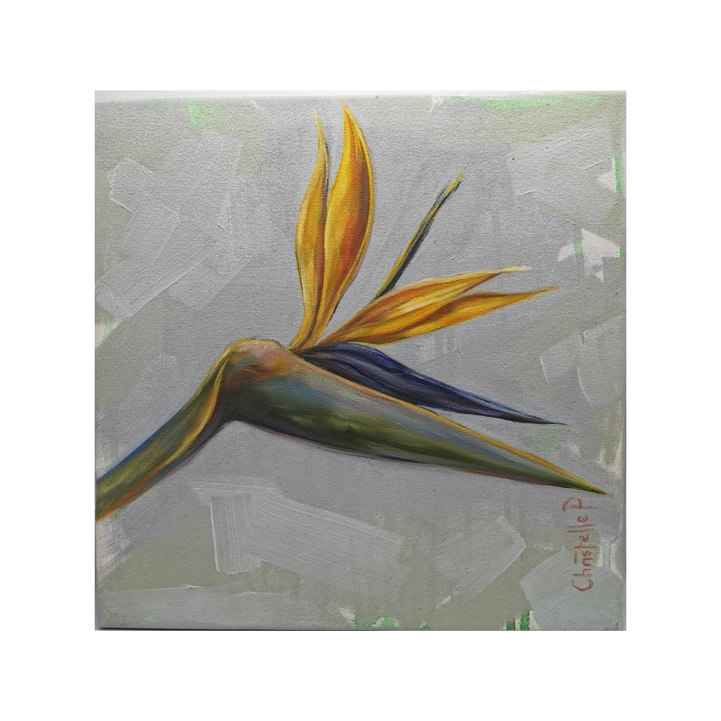 Strelitzia II