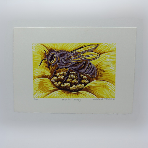 Healing Honey - - Colour reduction print